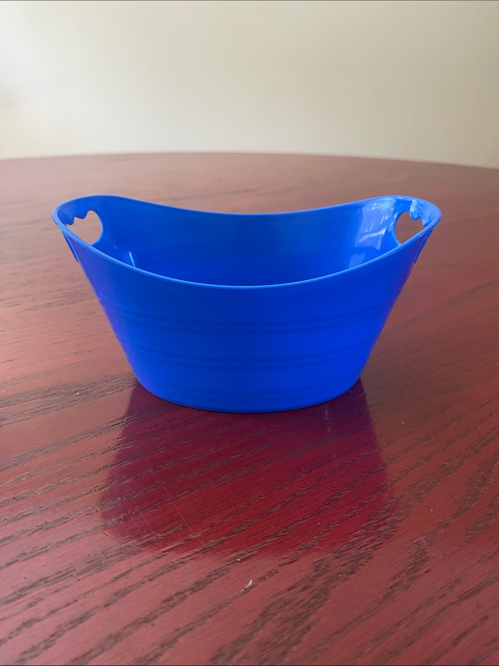 Blue Plastic Storage Tub with Handles - Home Organization